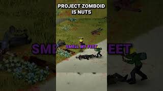 Project Zomboid is NUTS projectzomboid gaming funny [upl. by Ynomrah]