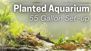 55 Gallon Planted Aquarium SetUp [upl. by Ardni]