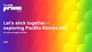 Let’s stick together – exploring PacBio Kinnex kits [upl. by Nyleve]