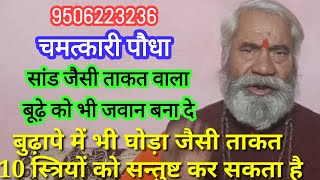 तृण ज्योति घास का चमत्कार। वृद्ध भी यौवन प्राप्त कर लेता है । दस तरूण महिला को सन्तुष्ट कर सकता है। [upl. by Erolyat]