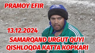 PRAMOY EFIR SAMARQAND URGUT QUYI QISHLOQDA KATTA KOPKARI 13122024 XiloliddinOfficial [upl. by Annai]