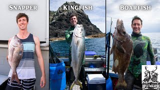 Spearfishing for Kingfish Snapper and Boarfish Epic Day in the Water  Hauraki New Zealand [upl. by Noremac]