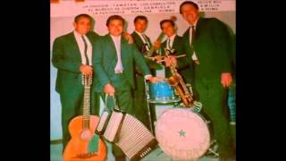 Rogelio Gutierrez Tampico Hermoso Polka [upl. by Ait]