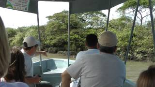 wildlife boat tour Palo Verde National Park Costa Rica part 1 of 3 [upl. by Em]