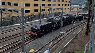 Gosford steam weekend 2024 ft all different trains day 1 [upl. by Sivehc]