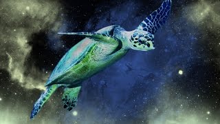 Anishinaabe turtle song [upl. by Remliw162]