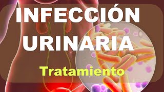 Infección Urinaria Tratamiento Explicación [upl. by Aramoy99]