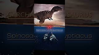 Carcharadontosaurus VS Spinosaurus and Mapusaurus edit dinosaur 1v1 [upl. by Anitac900]