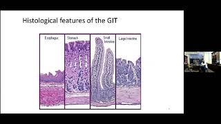 GECHO Fellows Medical programme  Anatomy amp physiology of the foregut [upl. by Adara536]