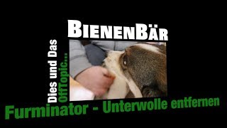 Furminator  Unterwolle beim Hund entfernen [upl. by Whang]