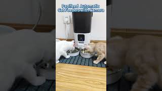 Papifeed 5GHz Automatic Cat Feeders with Camera [upl. by Neve592]