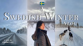 Swedish Lapland Vlog Northern Lights Dog Sledding in Kiruna amp Abisko [upl. by Malvie920]