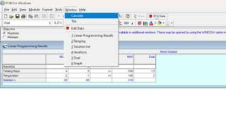 linier programing 1Nafista Adelia Putri [upl. by Manson]