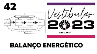 Unicamp 2023 As relações ecológicas podem ser representadas por modelosde fluxo de energia [upl. by Dryden57]