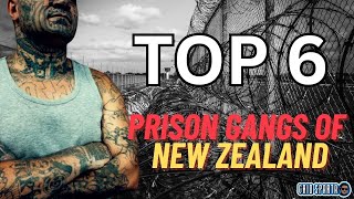 Top 6 prison gangs of New Zealand [upl. by Jump292]