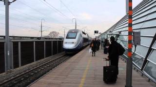 TGV arriving at Avignon TGV station [upl. by Gibbons510]