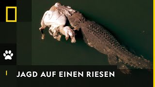 Auf der Suche nach dem MonsterKrokodil  Croctober [upl. by Rednaeel]