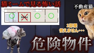 【猫ミーム】×【怖い話】危険物件 猫マニ 怖い話 [upl. by Parks]