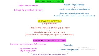 Effect of Thyroid hormone on heart lungs GIT CNS Chapter 77 part 6 Guyton and Hall Physiology [upl. by Kassi]