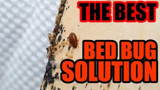 Complete Bed Bug Treatment Done Right  Crossfire Bed Bug Concentrate Works Best [upl. by Clio]