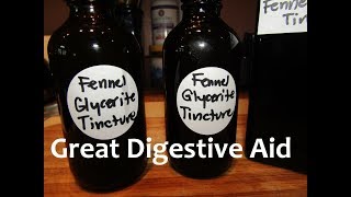 Making Fennel Glycerite Tincture [upl. by Lehman430]