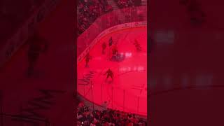 goaliedance Ville Hudson Detroit Red Wings [upl. by Nylrats]