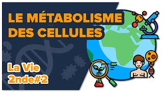 Le métabolisme des cellules  SVT  LA VIE 2nde 2 Mathrix [upl. by Ludmilla332]