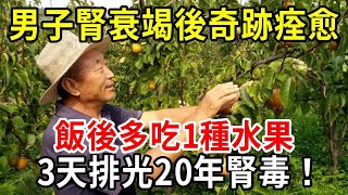 男子腎衰竭後奇跡痊愈，飯後多吃1種水果，3天排光20年腎毒，遠離腎病，腰不酸了，腿不疼了，連失眠都好了！活到100歲都無病無痛！【中老年講堂】 [upl. by Jorgenson]