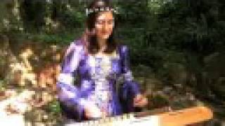 quotMagicquot medieval hammered dulcimer music by dizzi [upl. by Ecirtram]