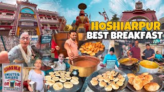 Punjab Tour Ep17  Punjab Famous Food  Hoshiarpur Street Food  Punjab Street Food [upl. by Esta]