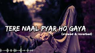 Tere Naal Pyar Ho Gaya Slowed amp Reverbed Cute Girl Love Story  Love Songs  Sad Songs [upl. by Jurgen816]