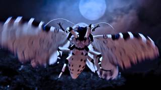 Night Butterfly Hypercompe Scribonia Blender Cycles 27 [upl. by Atteuqaj172]