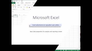 Snel selecteren en opvullen van cellen [upl. by Derk251]