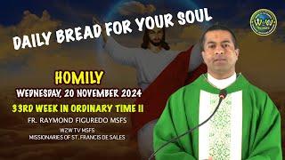 HOMILY  20 NOVEMBER 2024  33RD WEEK IN ORDINARY TIME II by Fr Raymond MSFS homily sermons [upl. by Patrizia]