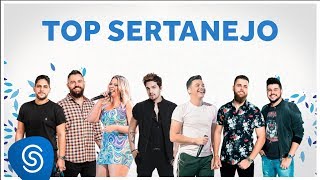 TOP SERTANEJO 2020  As Melhores do ano [upl. by Aglo]