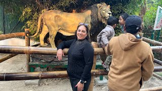 Delhi zoo  delhi zoo full tour 2023  full tour of delhi zoo 2023 [upl. by Khudari]