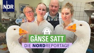 Weihnachten ist Gänsezeit  Landgasthof zwischen Tradition und neuen Ideen  Die Nordreportage  NDR [upl. by Todd768]