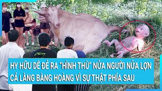 Hy hữu dê đẻ ra “hình thù” nửa người nửa lợn cả làng bàng hoàng vì sự thật phía sau [upl. by Pik]