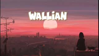 WAALIAN SONG OF HARNOOR IN LOFI [upl. by Filberto311]