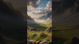 Calm amp Soothing Quran Recitation  Find Inner Peace Relaxation amp Spiritual Calm with Serene Verses [upl. by Balas40]