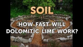 How Fast Will Dolomitic Lime Work [upl. by Asirret]