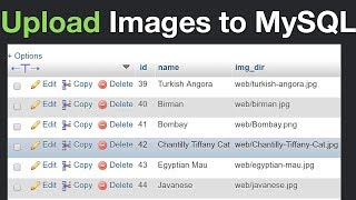 How To Form data save in text file  using php [upl. by Elttil]