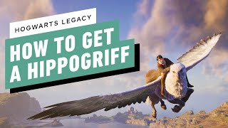 Hogwarts Legacy How to Get a Hippogriff [upl. by Jaymie]