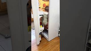 I haven’t seen it for a while This guy got into the refrigerator funny cutebaby [upl. by Jauch89]