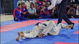 jujitsu wushu karate taekwondo kurash judo games gameplay sports newaza savate [upl. by Bodi]