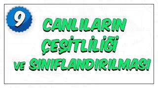 9Sınıf Biyoloji  Canlıların Çeşitliliği ve Sınıflandırılması [upl. by Retsev]