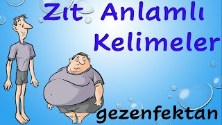 Zıt Anlamlı Kelimeler [upl. by Diannne]