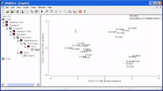 PRIMER  analysing environmental data [upl. by Ihtraa]