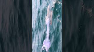 Mermaid swims quickly towards boat Lake Michigan [upl. by Neddra]