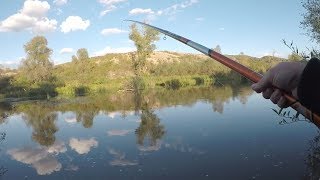 Ribolov Skobalja na hlebna plovak GoPro Fishing HD Reka Nisava [upl. by Aihseym]